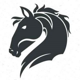 Financial Horse - Singapore Stock and REIT Investments channel avatar