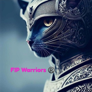Воины ФИП (FIP Warriors ®) channel avatar