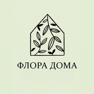 Аватар канала Флора дома: кашпо & растения