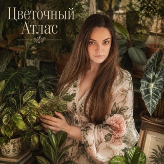 Цветочный атлас channel avatar