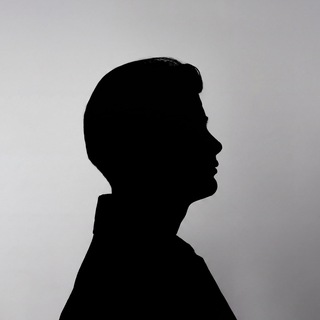 ФОГЕЛЬ UNIVERSITY channel avatar