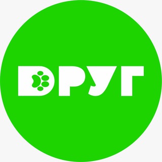 Фонд «Друг» channel avatar