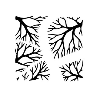 Forestforum - лесной канал channel avatar