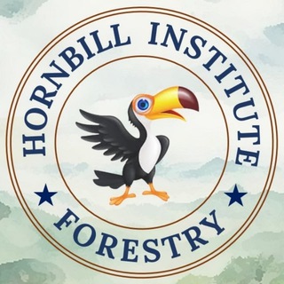 Hornbill Forestry 🌱 IFoS 2026 channel avatar