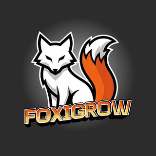 FoxiGrow channel avatar