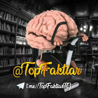 Аватар канала Top Faktlar