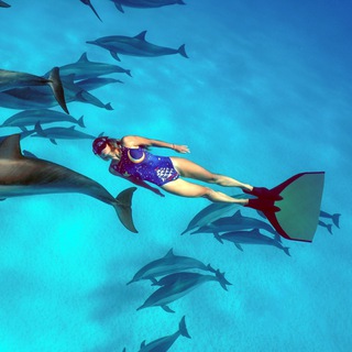 freedivekids channel avatar