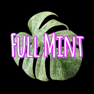 Full Mint channel avatar