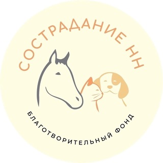 Аватар канала СостраданиеНН
