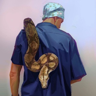 Аватар канала Veterinary medicine of reptiles and amphibians