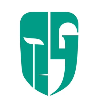 GamerStorm Russia channel avatar