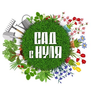 САД С НУЛЯ | Оксана Пискарёва channel avatar