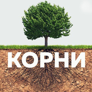 Аватар канала КОРНИ