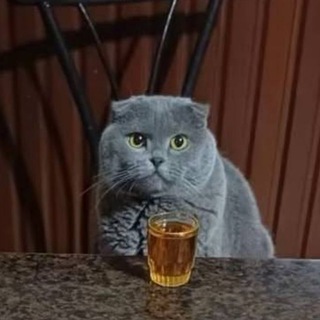 Сто соток абсурда channel avatar