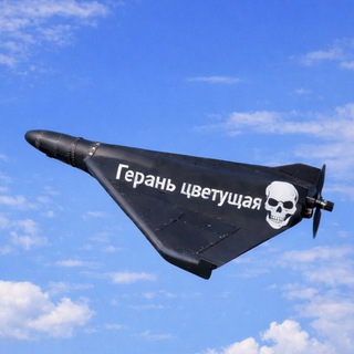 Герань Цветущая channel avatar