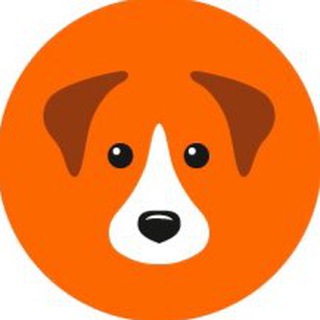 Аватар канала Муниципальный приют для собак в Химках (GetDog)