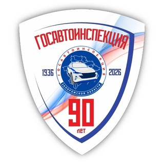 Госавтоинспекция Запорожской области channel avatar