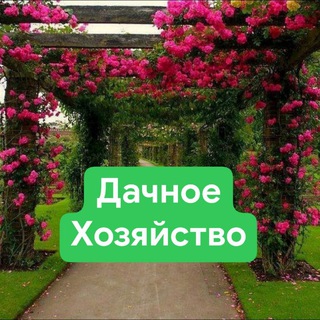 Дачное хозяйство channel avatar
