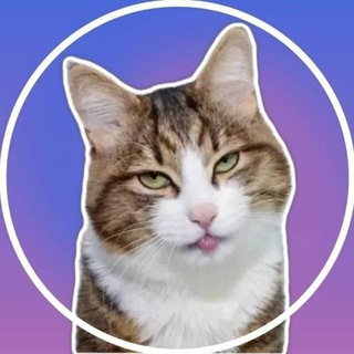 Video Stickers - Видео Стикеры - Гиф Стики channel avatar
