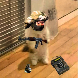 Розыгрыши | CS2 channel avatar