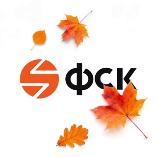 ГК ФСК channel avatar