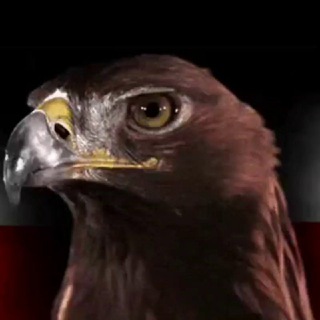 Аватар канала GlobalPatriots