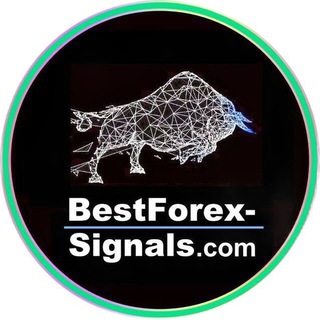 gold_forex channel avatar