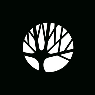Дирекция городских парков channel avatar