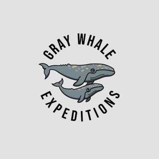Gray Whale Expeditions channel avatar
