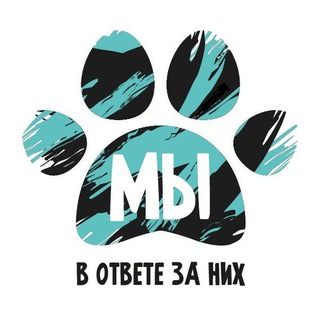 МЫ В ОТВЕТЕ ЗА НИХ! channel avatar