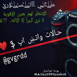 Аватар канала gvgrdd