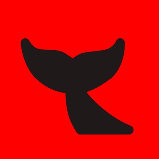 КИТ channel avatar