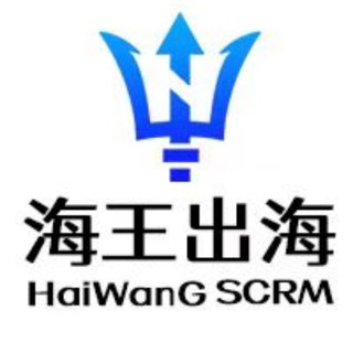 海王SCRM-聚合自动翻译计数器 channel avatar