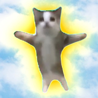 Happy Cat Chat channel avatar