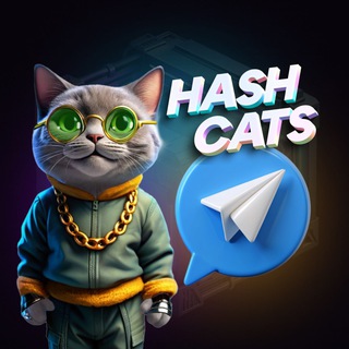 HashCats Official Channel channel avatar