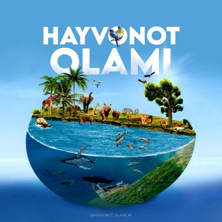 hayvonot_olami_n1 channel avatar