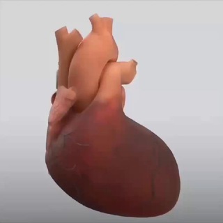 Health and Fitness channel avatar