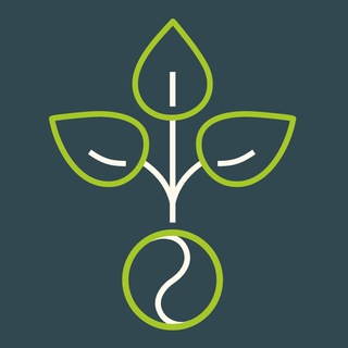 Heilstoff | Ganzheitlich gesund channel avatar