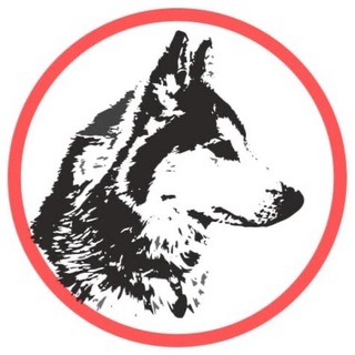 Помощь ездовым собакам help_husky_nsk channel avatar