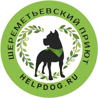 helpdog.ru channel avatar