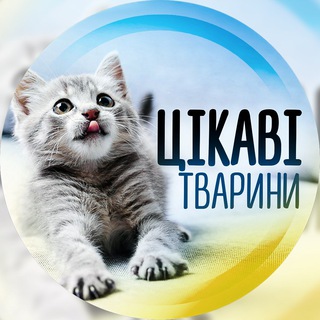 Аватар канала Цікаві тварини