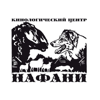 Аватар канала Нафани. Пастьба и Аджилити.