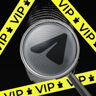 Аватар канала VIP чат SMM Академии