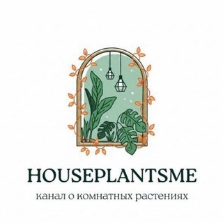 Аватар канала 𝑯𝒐𝒖𝒔𝒆𝒑𝒍𝒂𝒏𝒕𝒔𝒎𝒆 | Комнатные растения