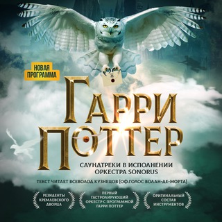 Гарри Поттер. Оркестр Sonorus channel avatar