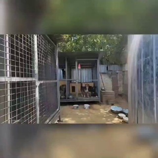 Аватар канала Пρυюⲧ Хⲃ𐔖ᥴⲧυⲕυ, БФ "Яɯᥲ"