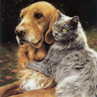 🐾Хвостики🐾 5614681916807021 channel avatar