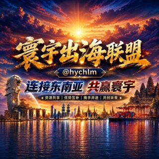 寰宇出海联盟 channel avatar