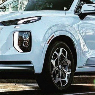 Hyundai Palisade Club channel avatar