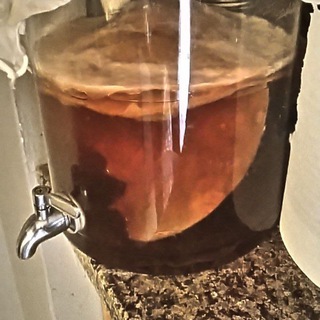 IAF - Fermentation 🧀 🍻 channel avatar